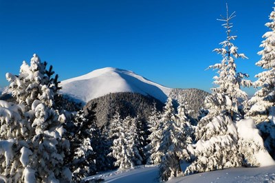 Авторський тур Високі Горгани | Зимовий треккінг на Грофу і Сивулю Карпати/Осмолода